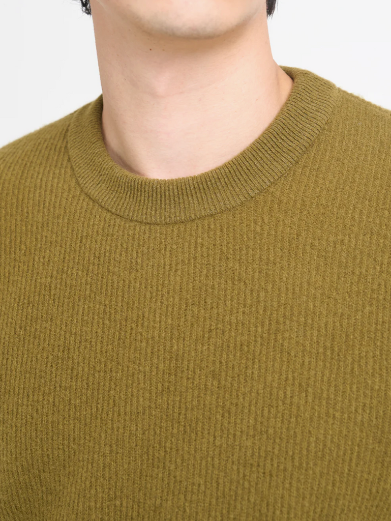 Close-up of a person wearing a green sweater with a plain background.
